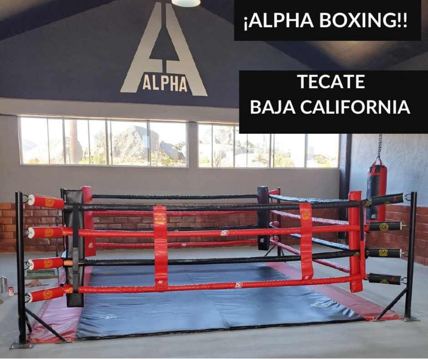Rings de boxeo y cuadriláteros KIDJOHNNY